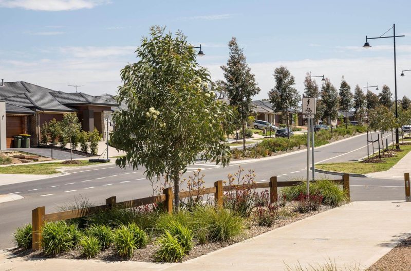 Beautifully landscaped suburban street