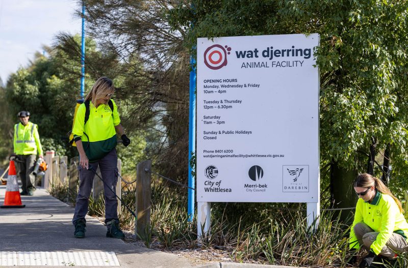Landscapers outside Wat djerring Animal Facility